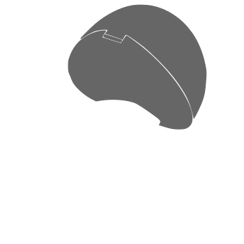 Quaternary Background