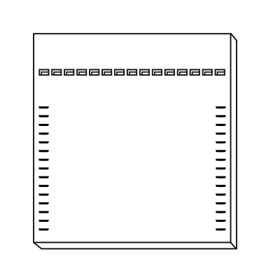 Agarose gel 15 wells and DNA marker - PNG 