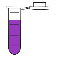 8/10  Violet filled eppendorf tube with round bottom and snap cap open -Flat Icon PNG
