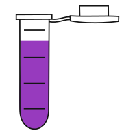 9/10  Violet filled eppendorf tube with round bottom and snap cap open -Flat Icon PNG